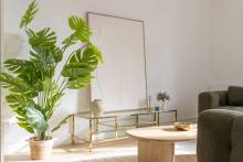 Home staging réel Meublimo Bayonne